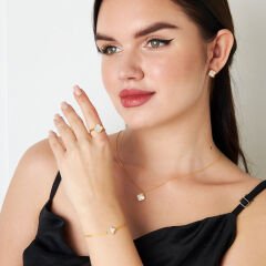 beyaz taşlarla kaplı yonca