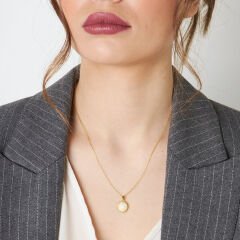 yansıyan güneşe sahip römork