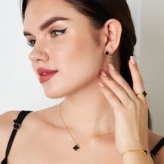 siyah taşlarla kaplı yonca